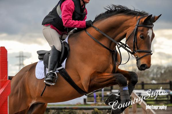 showjumping header